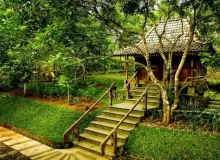 Kebun Durian Watu Simbar