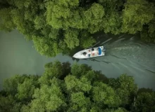 Hutan Mangrove Morosari Demak
